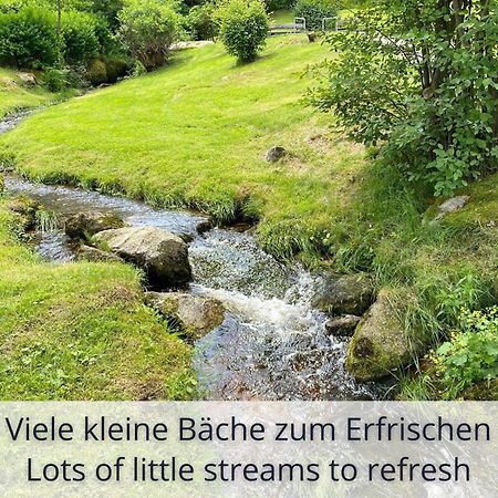 Auszeit Apartment Black Forest Schonach im Schwarzwald 외부 사진