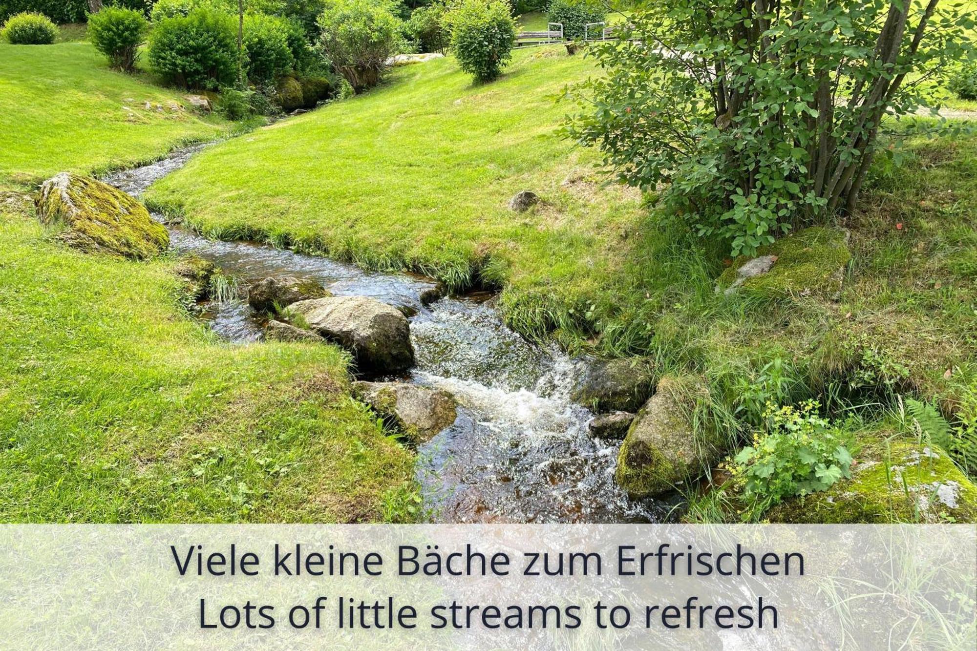 Auszeit Apartment Black Forest Schonach im Schwarzwald 외부 사진