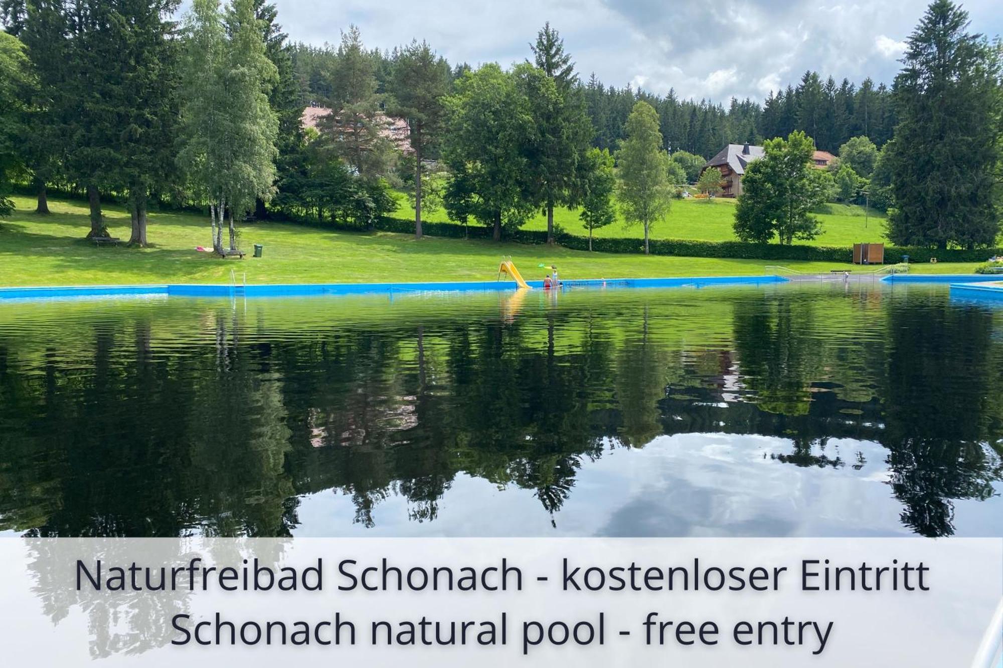 Auszeit Apartment Black Forest Schonach im Schwarzwald 외부 사진