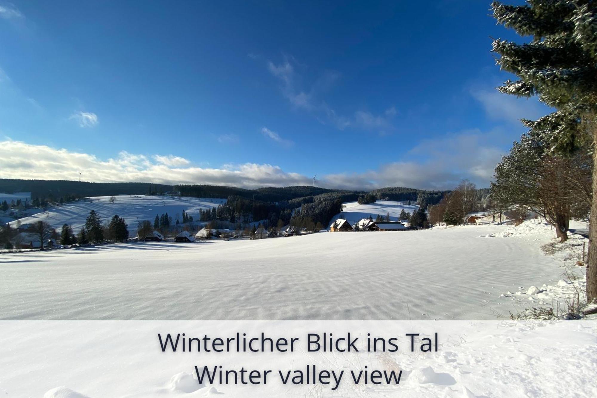 Auszeit Apartment Black Forest Schonach im Schwarzwald 외부 사진
