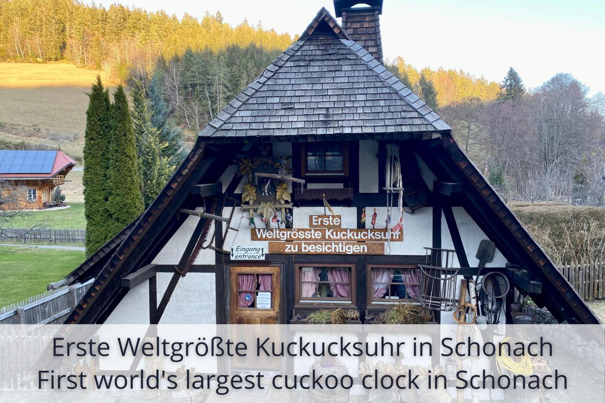 Auszeit Apartment Black Forest Schonach im Schwarzwald 외부 사진