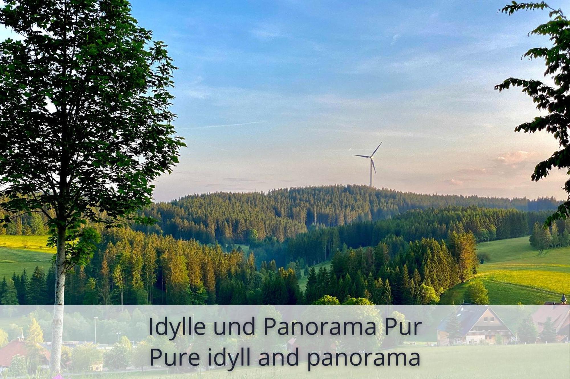 Auszeit Apartment Black Forest Schonach im Schwarzwald 외부 사진