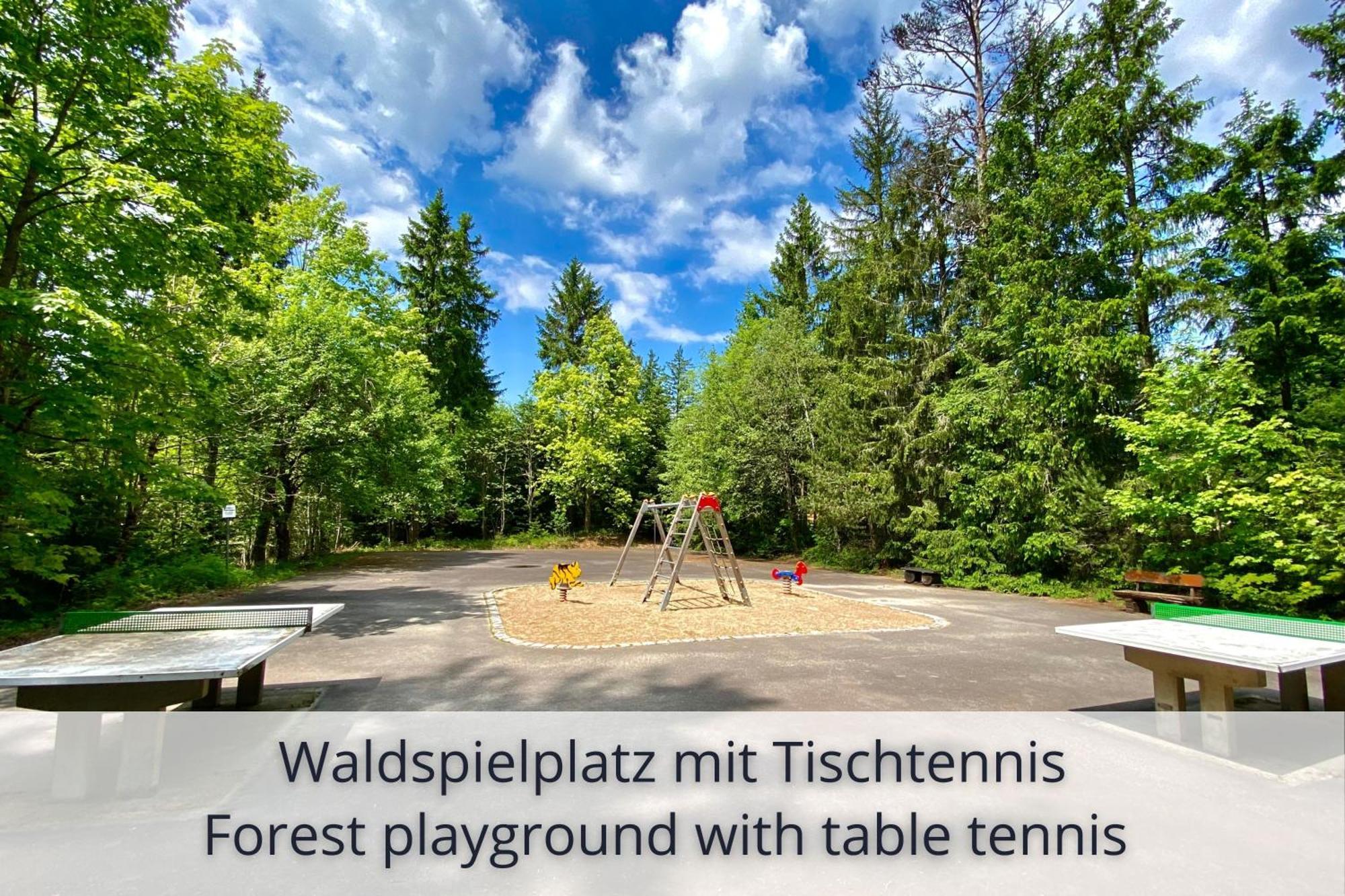 Auszeit Apartment Black Forest Schonach im Schwarzwald 외부 사진